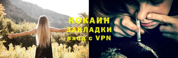 индика Аркадак