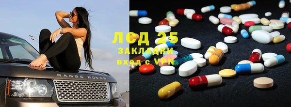индика Аркадак