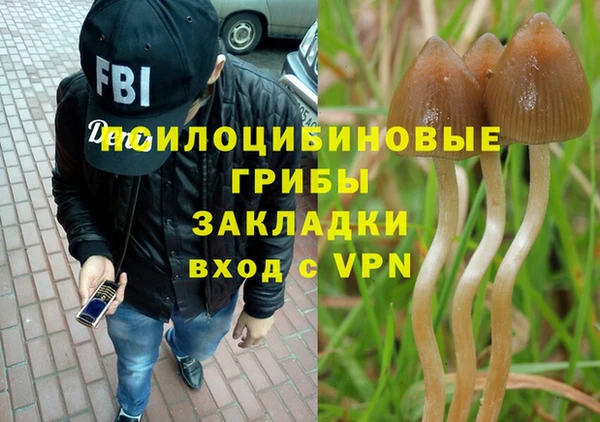индика Аркадак