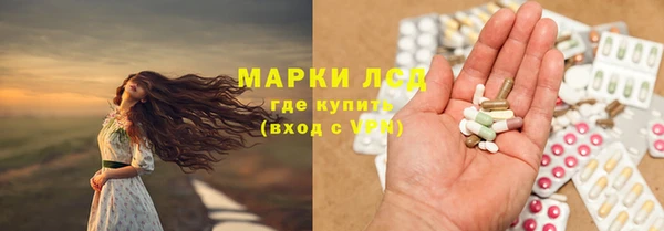 индика Аркадак
