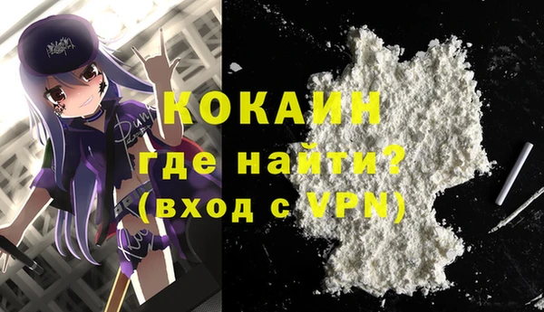 хмурый Арсеньев