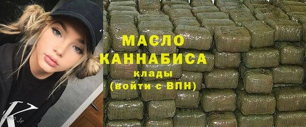 хмурый Арсеньев