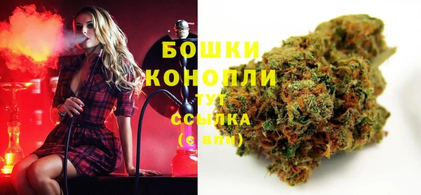 индика Аркадак