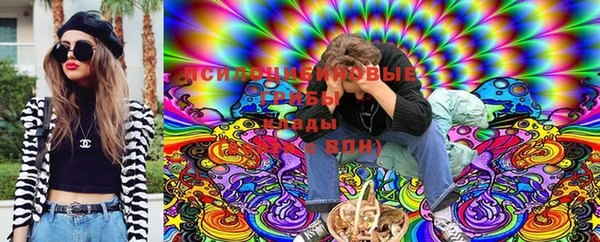 индика Аркадак