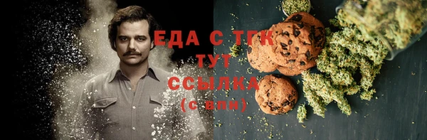 индика Армянск