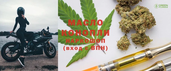 хмурый Арсеньев