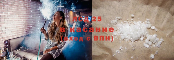 хмурый Арсеньев