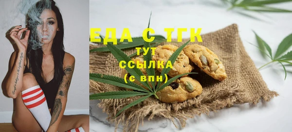 индика Армянск