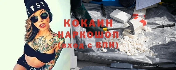 индика Армянск