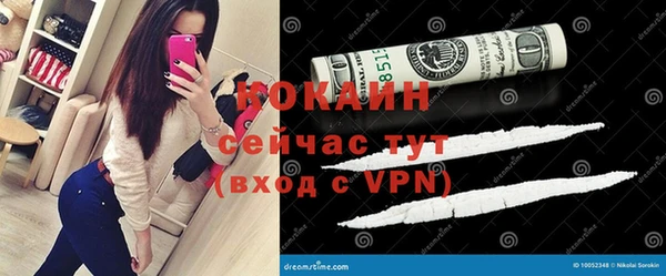 индика Аркадак