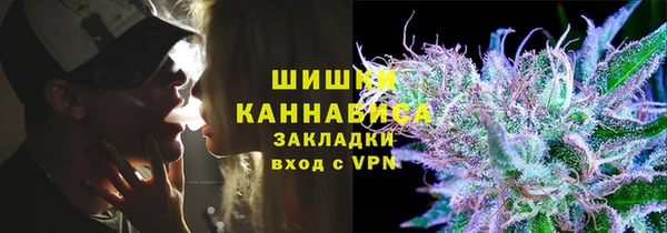 индика Аркадак