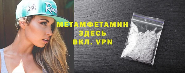 индика Аркадак