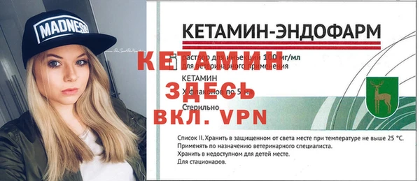 индика Аркадак